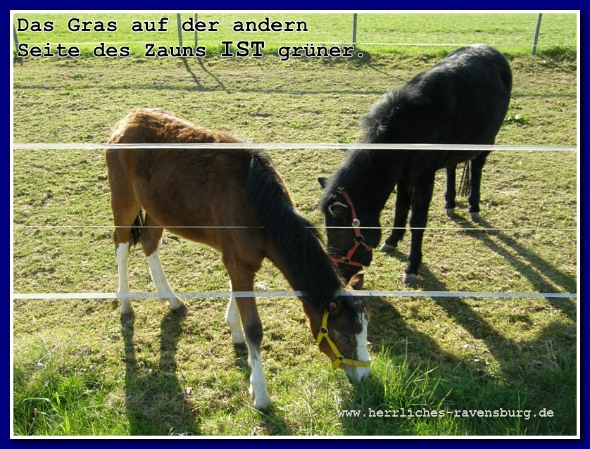 gras_auf_der_andern_seite_IST_gruener