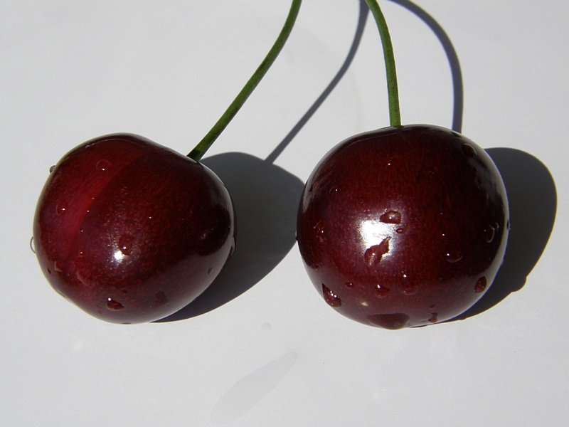 Cherries