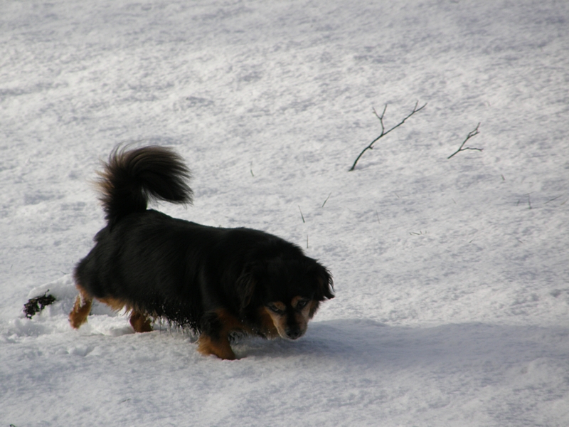 Schnee ist interessant!