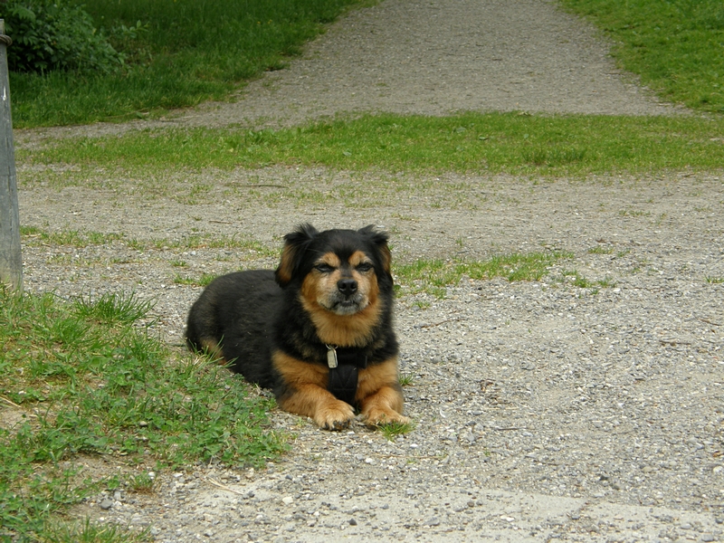 Hier bleiben wir erstmal.