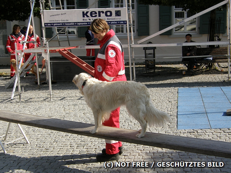 Schwankender Grund