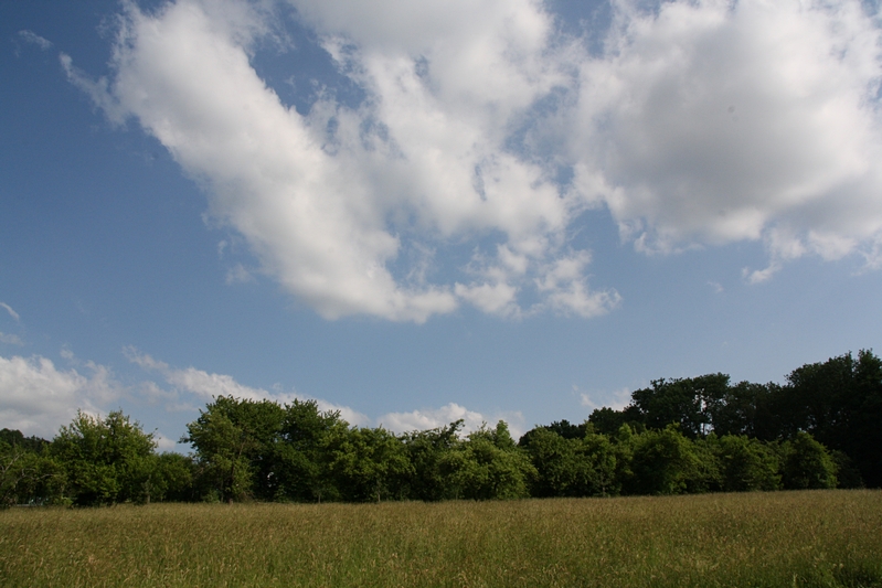 Landschaftsbild