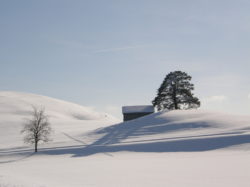 Hgel im Schnee