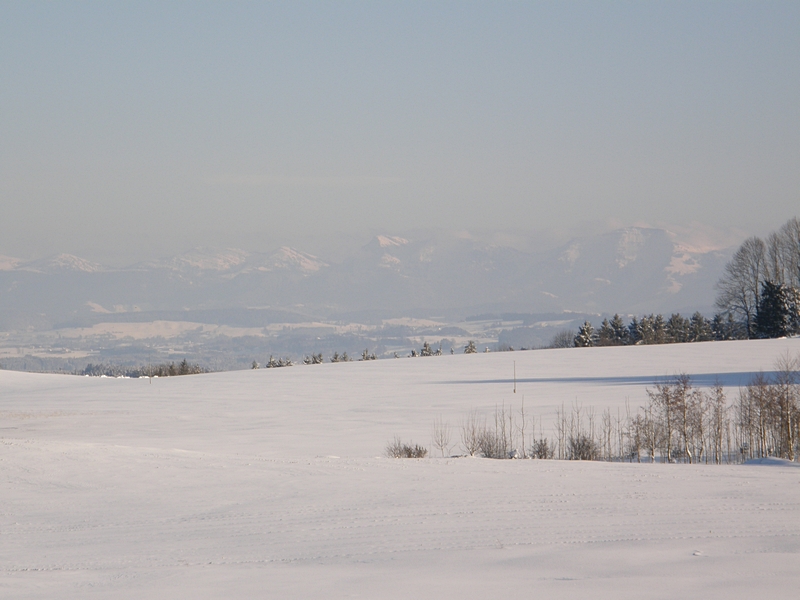 Schneefeld und Dunst