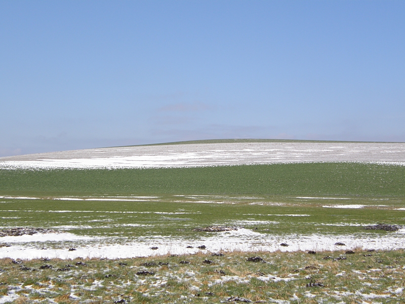 Winterliche Streifenlandschaft