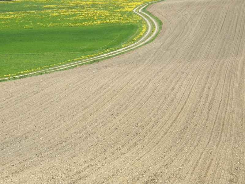 Kurvige Landschaft