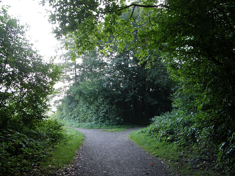 Parkweg