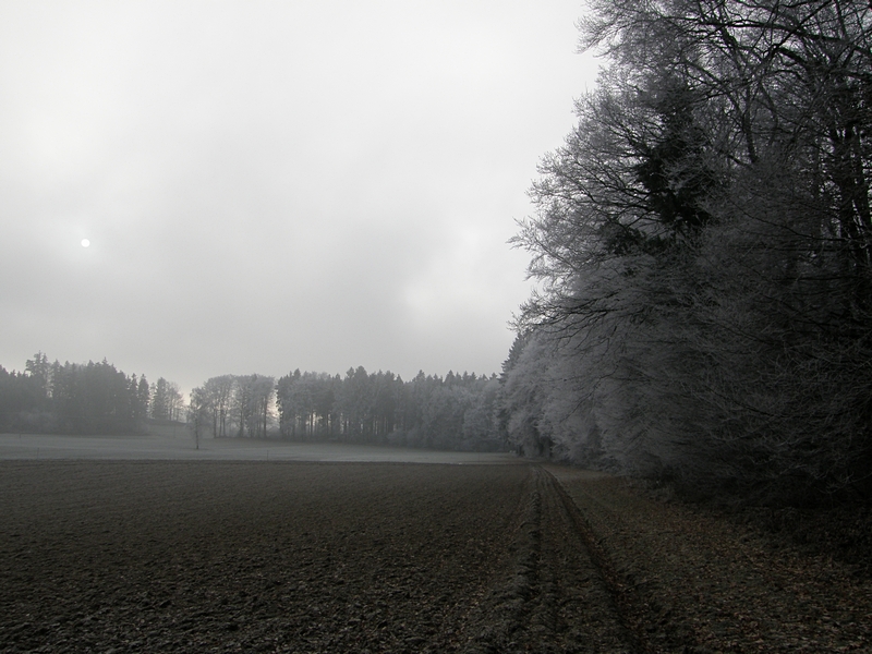 Winterdunst