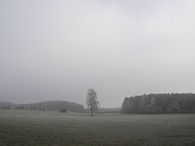 Winterlandschaft mit Reif