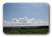 Wolken am Horizont