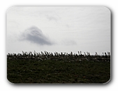 Stoppelfeld mit Wolke