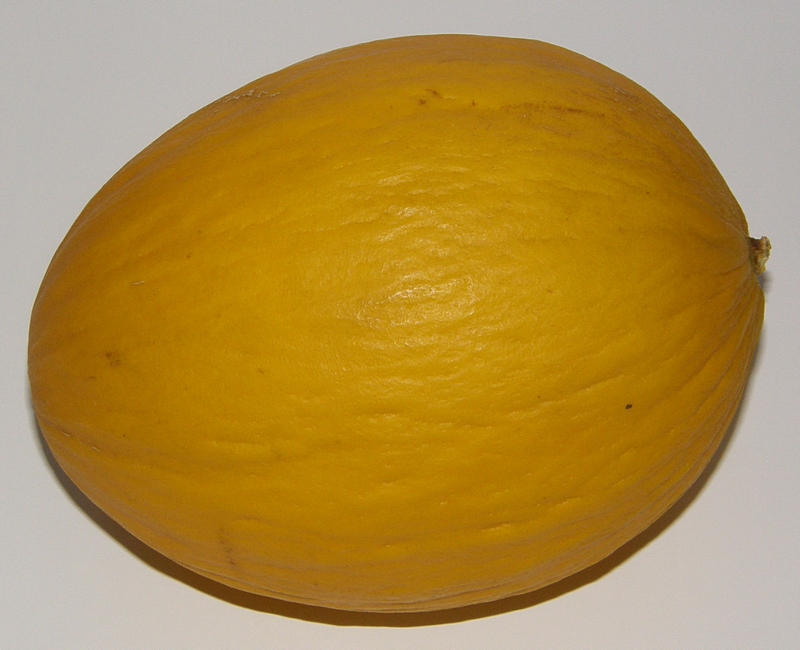 Honigmelone