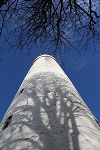 Mehlsack mit Baumschatten