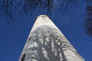 Mehlsack, Baum und Schatten