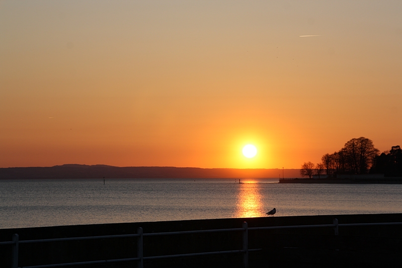 Lichtspur in Friedrichshafen