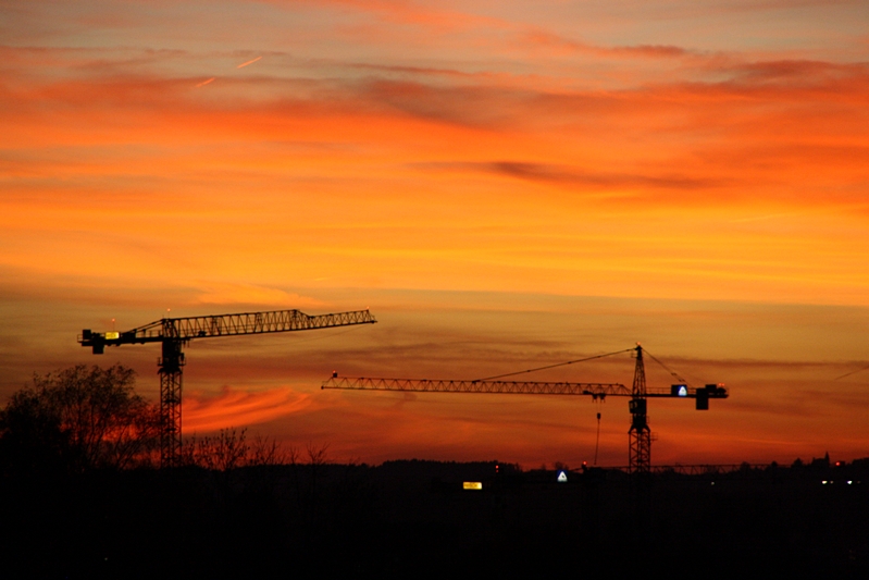 Krne vor Feuerhimmel