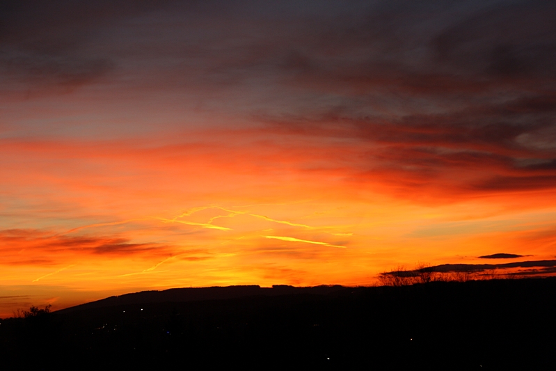 Schwarz, Rot und Gold