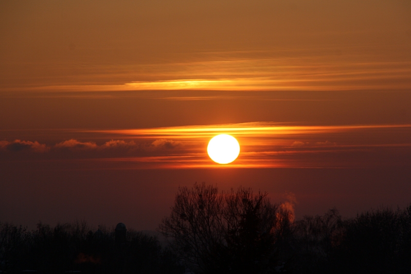 Sonne ber Baumgruppe