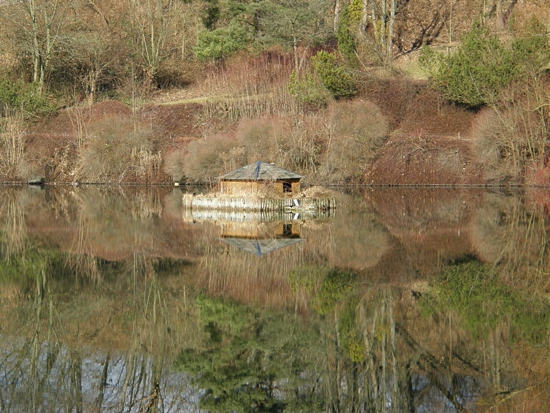 Herbstspiegelung