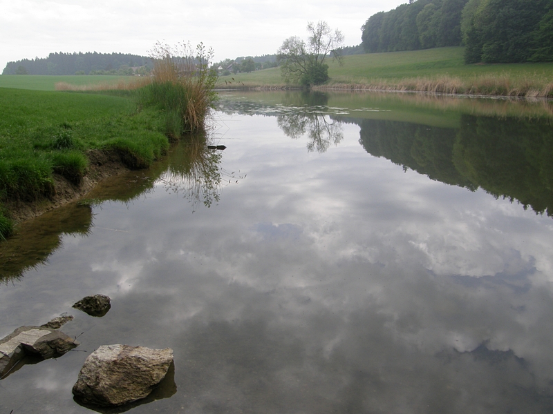 Teich mit gespiegelten Wolken