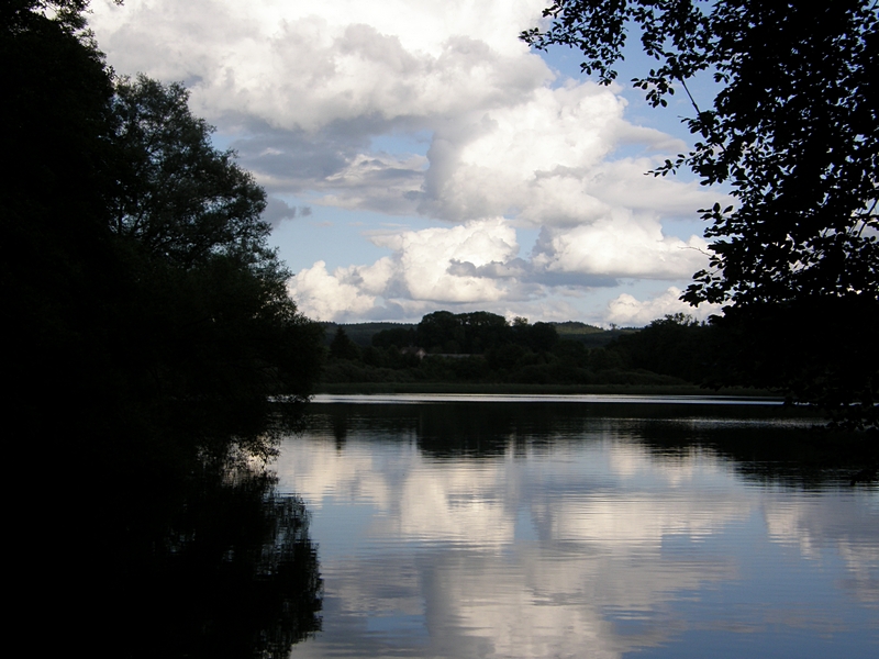 Rsslerweiher, Blick durch die Bume