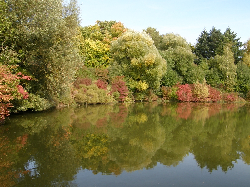 Indianischer Sommer in Ravensburg