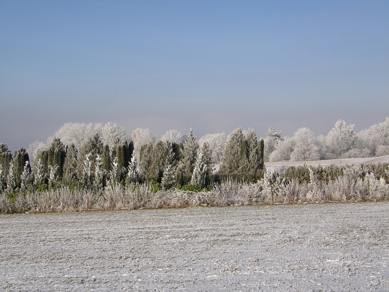 Reif-Landschaft