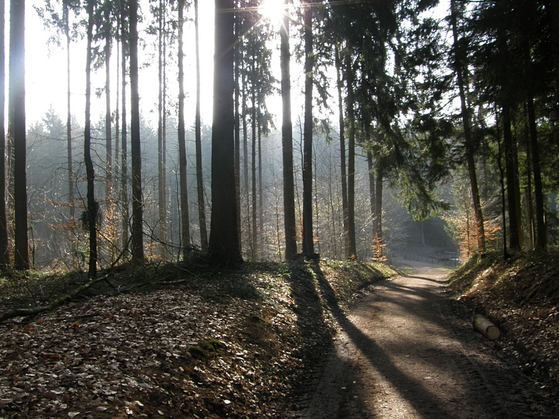 Licht und Schatten