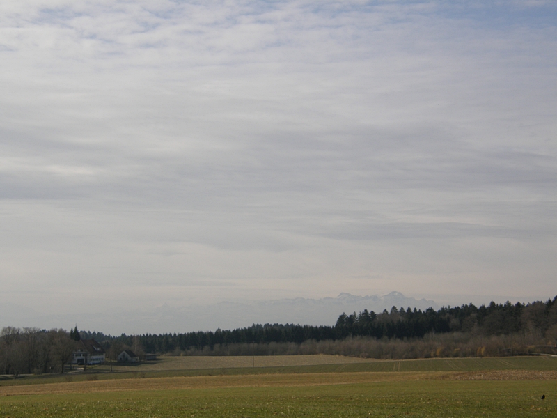 Landschaft mit Wald