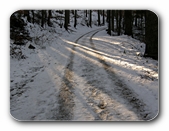 Waldweg mit Lichtstreifen